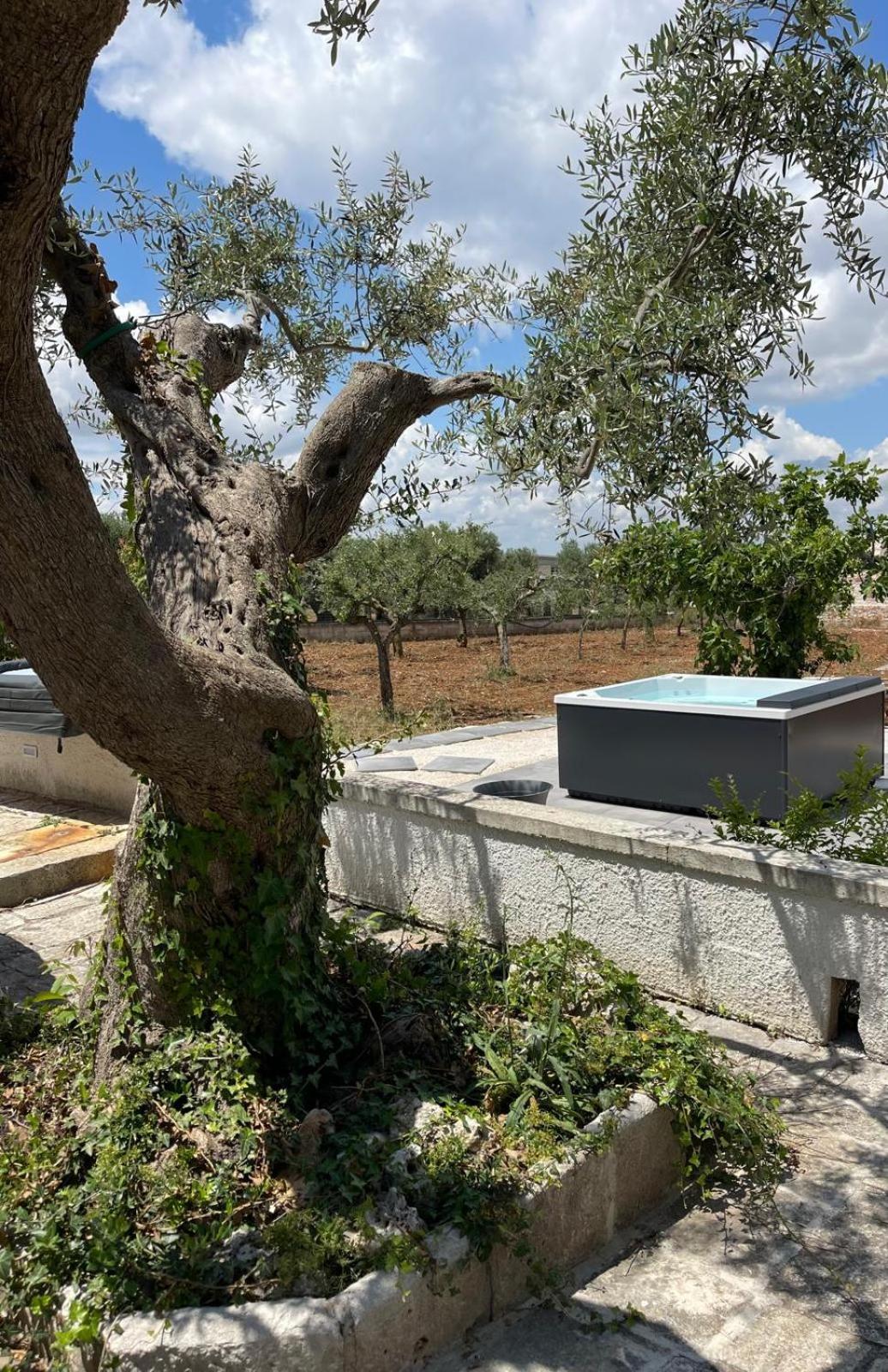 דירות קסטלאנה גרוטה Il Trullozio מראה חיצוני תמונה